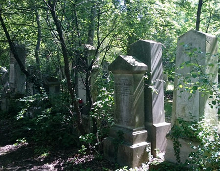 Beitrag über den St. Marxer Friedhof, verwilderte Gräber - www.wien-erleben.com