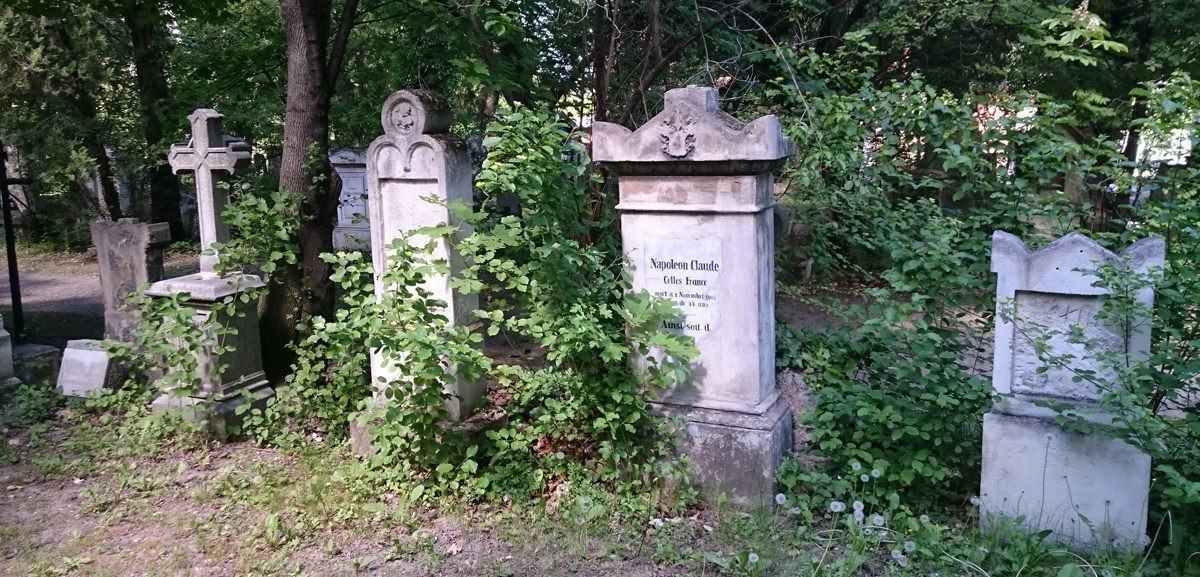 St. Marxer Friedhof - verwilderte Gräberreihen - www.wien-erleben.com