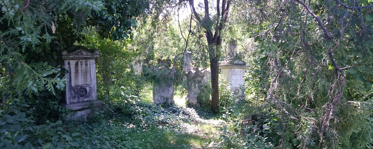 St. Marxer Friedhof - verwilderte Gräber im Park - www.wien-erleben.com