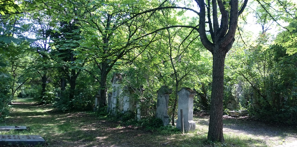St. Marxer Friedhof - Gräberreihen im Park - www.wien-erleben.com