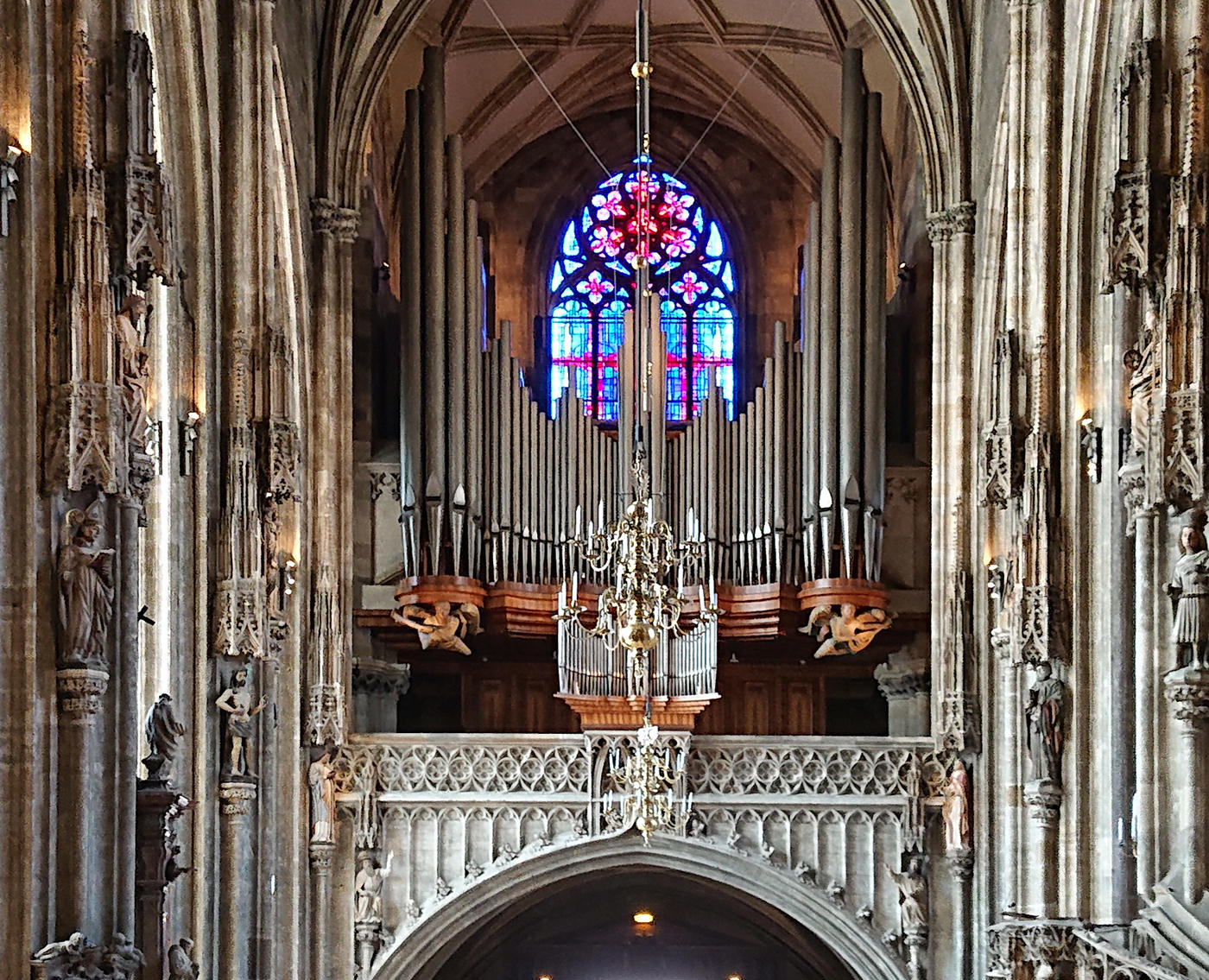 Stephansdom Wien - die Orgel - www.wien-erleben.com