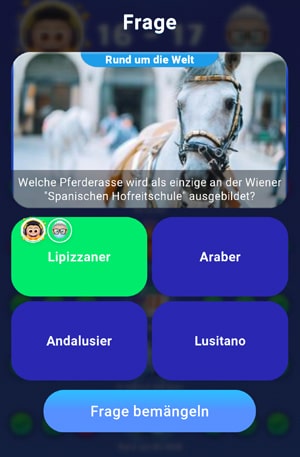 Quizduell-Tour durch Wien - Lipizzaner an der Hofreitschule ausgebildet - www.wien-erleben.com