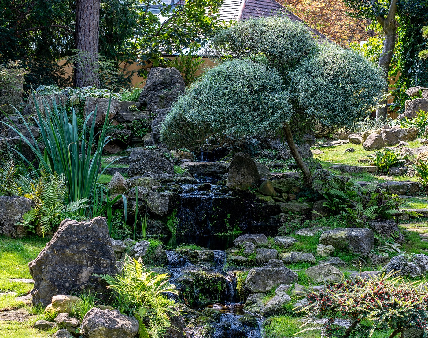 Tiergarten Schönbrunn Wien - der Japanische Garten - www.wien-erleben.com