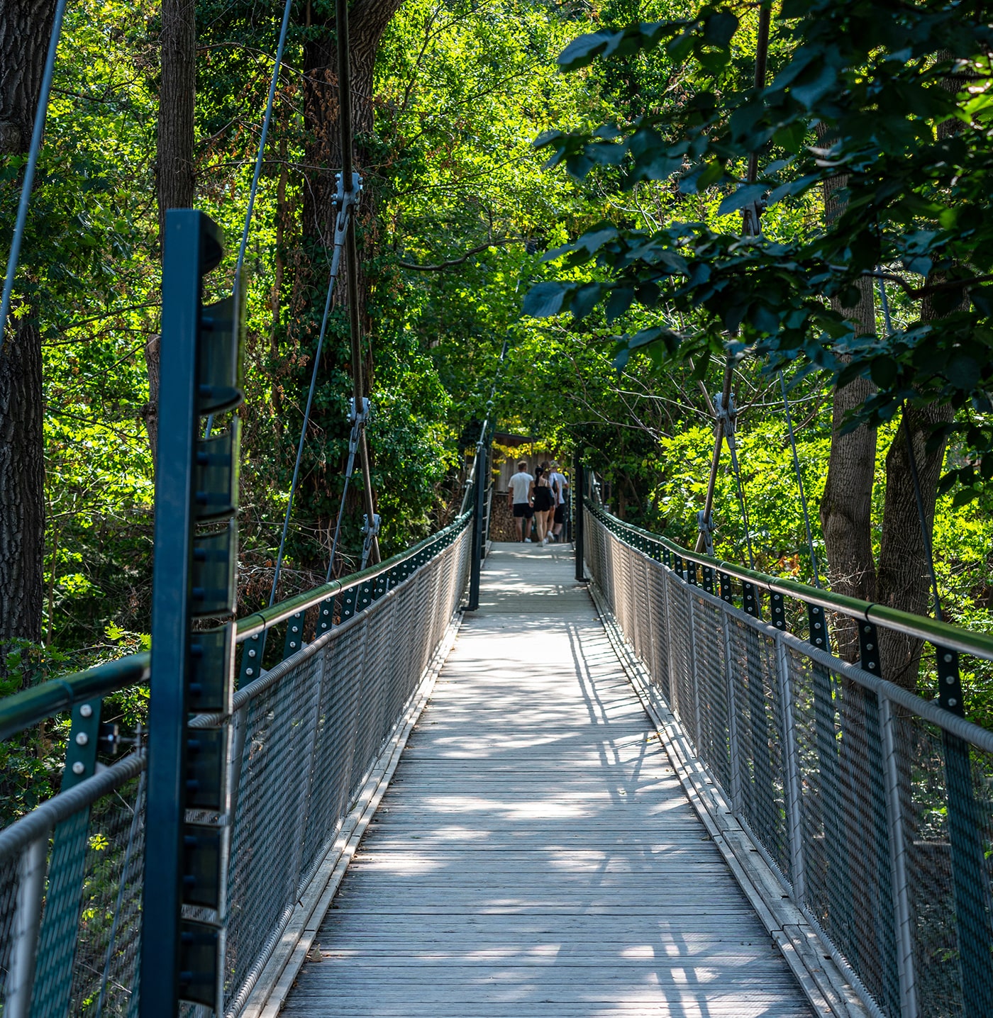 Tiergarten Schönbrunn Wien - Rundweg durch den Wald - www.wien-erleben.com