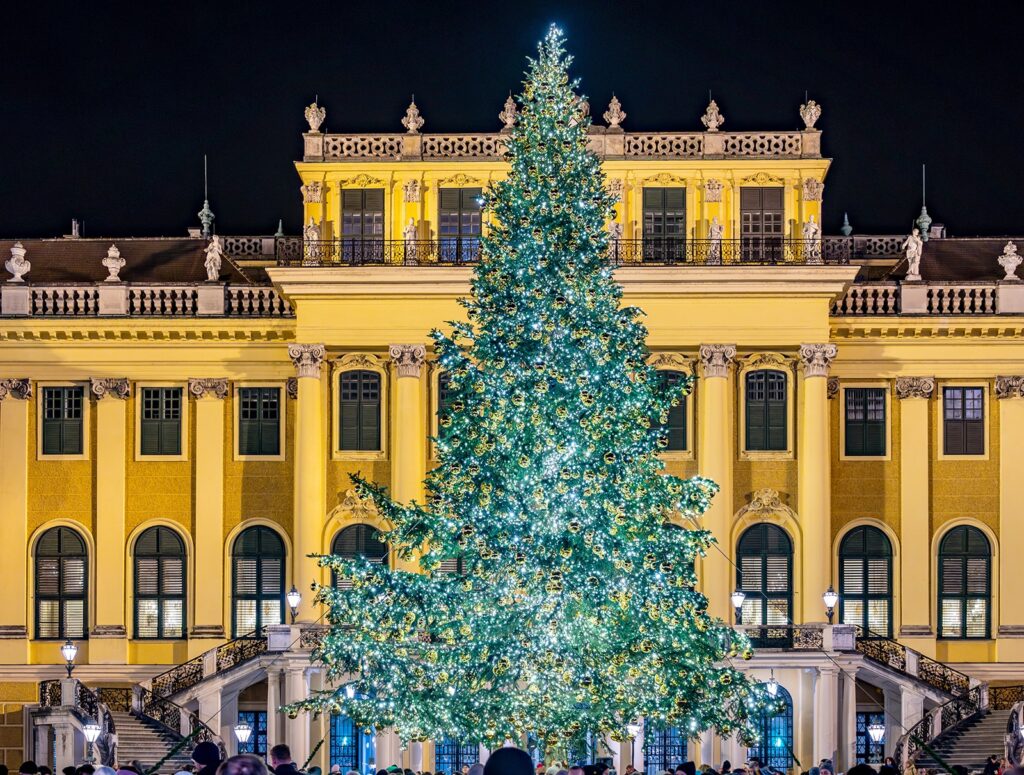 Weihnachtamark Schloss Schönbrunn - der Weihnachtsbaum leuchtet vor dem Schloss - www.wien-erleben.com