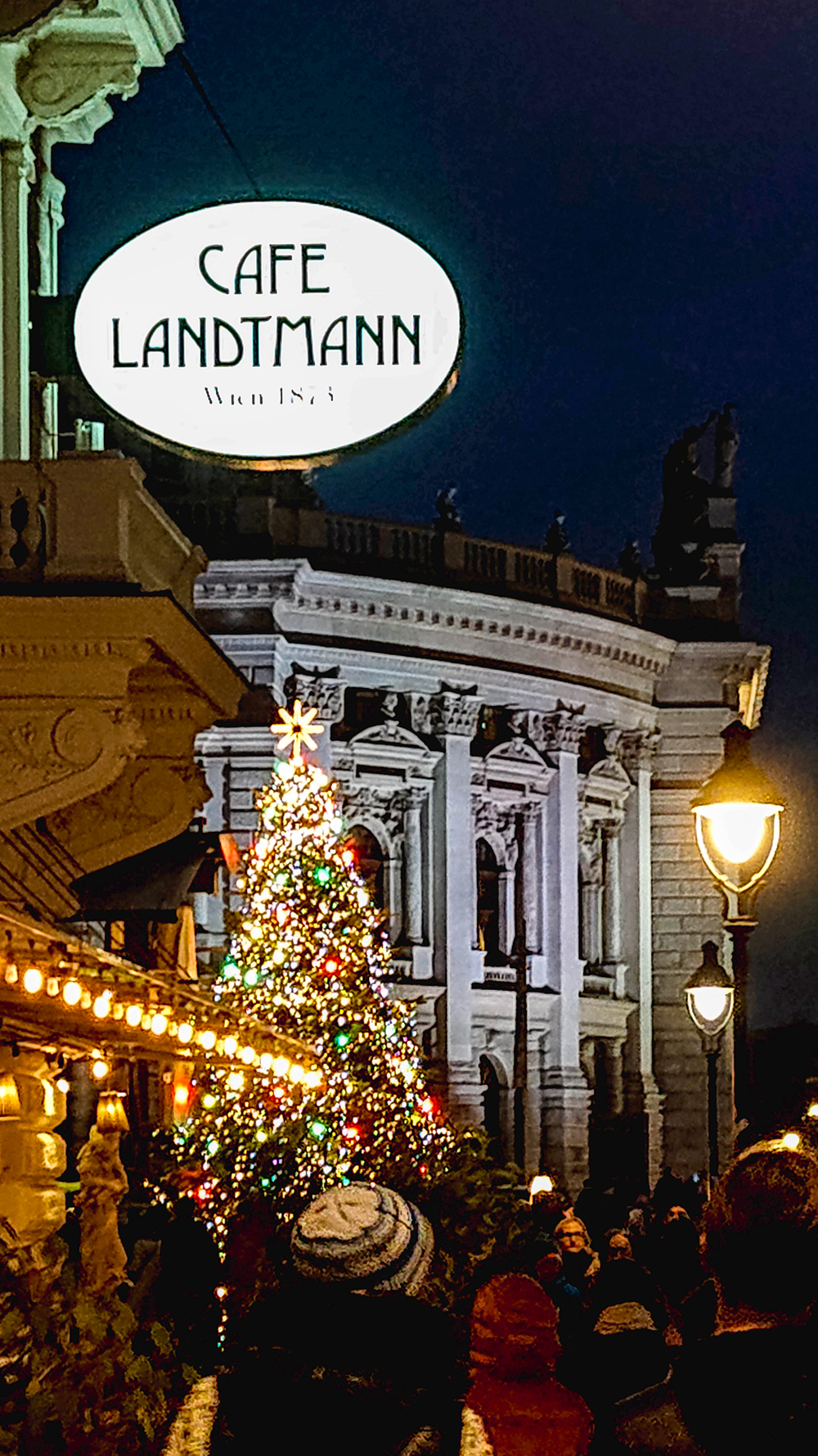 Weihnachtsbeleuchtung in Wien - Cafe Landtmann mit Christbaum - www.wien-erleben