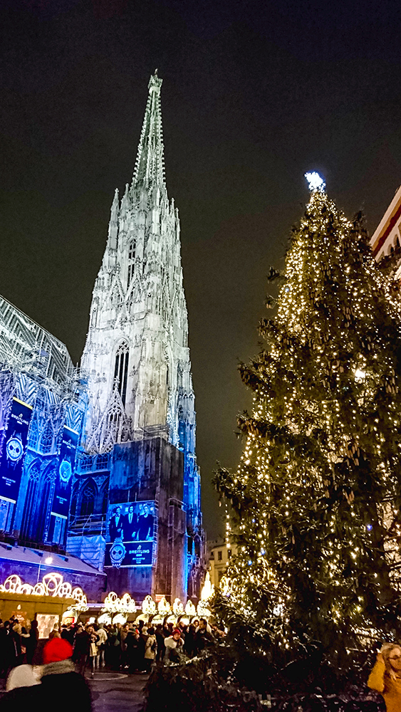 Weihnachtsbeleuchtung in Wien - Stephansdom mit Christbaum - www.wien-erleben